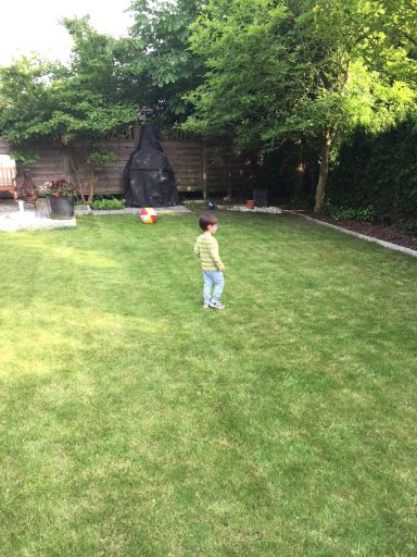 Ein Kind steht im Garten und schaut auf den Rasen, umgeben von Bäumen und Sträuchern.